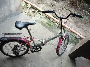 Folding Bicycle 10