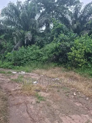 A Plot of Land