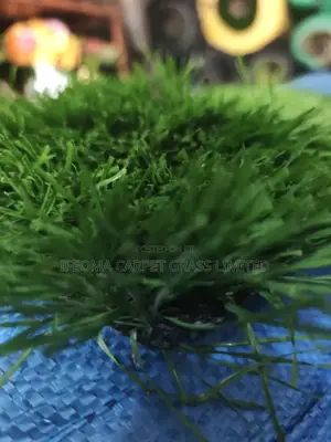 Artificial Grass. 50 Mm