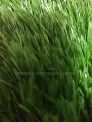 Artificial Grass. 50 Mm