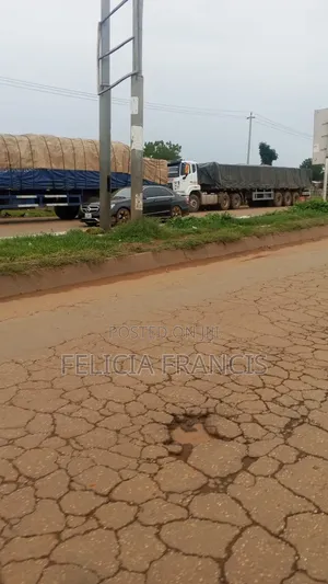 Dangote Cement Supply