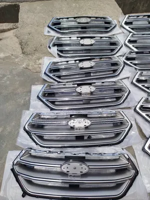 Front Grille Ford Edge 2017