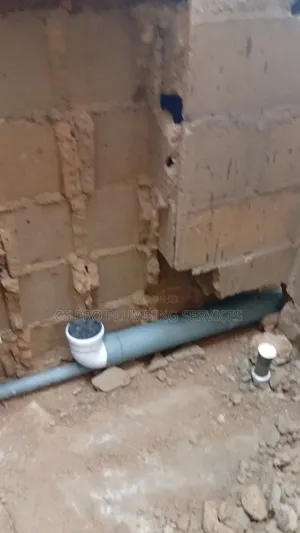 Professional Plumber