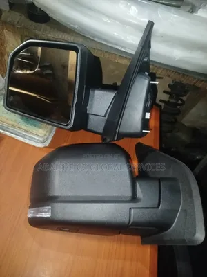 Ford F150 Side Mirror