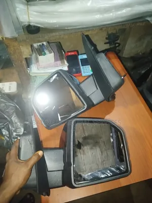 Ford F150 Complete Mirror