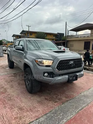 Toyota Tacoma 2019 Gray
