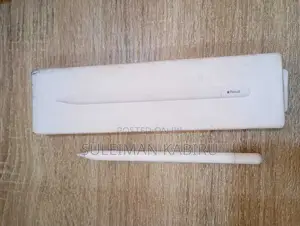 Apple Pencil (TYPE-C)