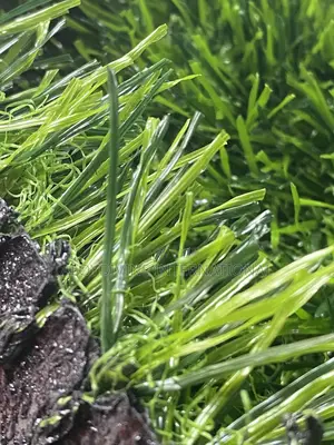 Super Standard 40MM Artificial Grass