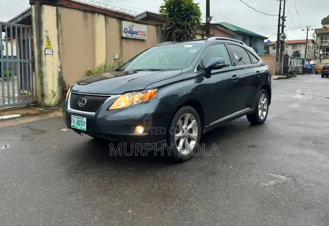 Lexus RX 2010 Gray