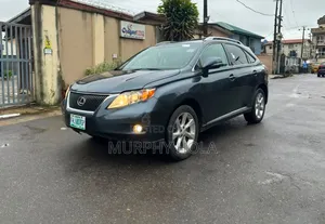 Lexus RX 2010 Gray