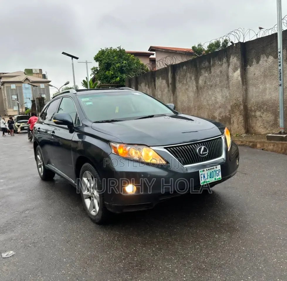Lexus RX 2010 Gray
