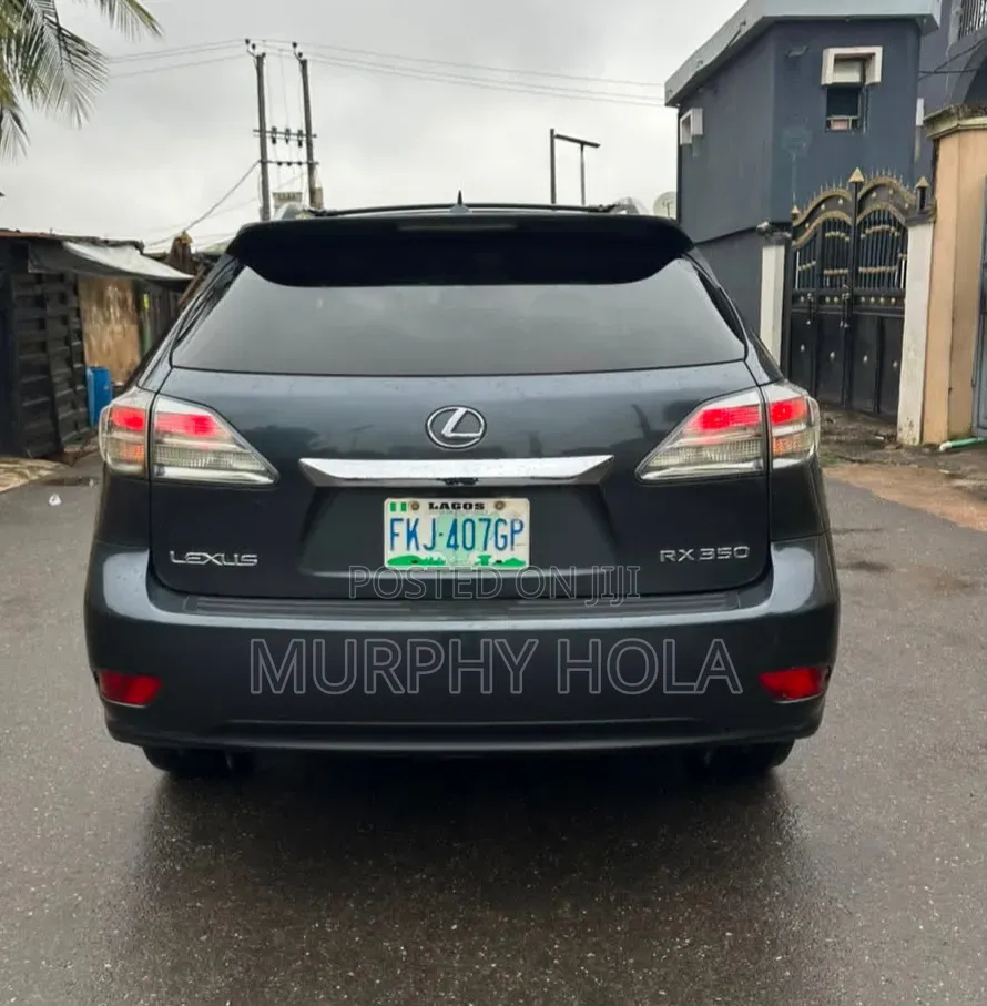 Lexus RX 2010 Gray