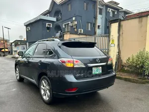 Lexus RX 2010 Gray