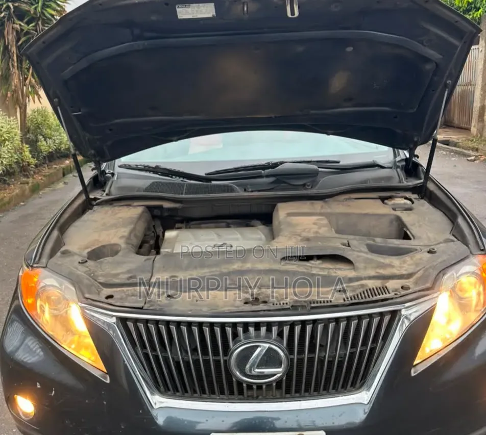 Lexus RX 2010 Gray
