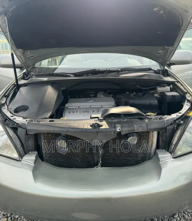 Lexus RX 2007 Silver