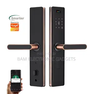 Copper Fingerprint Smart Lock Tuya