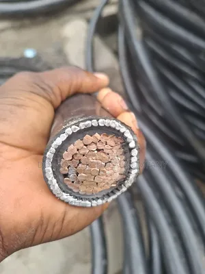 500mmx1core Power Armored Cable