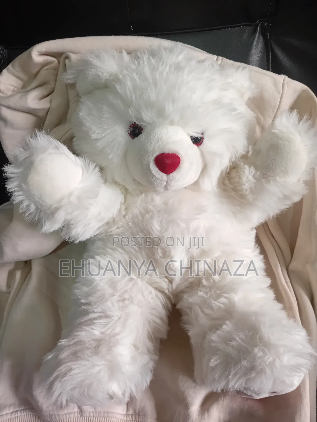 Teddy Bear
