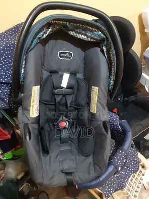 Bady Seat Carrier