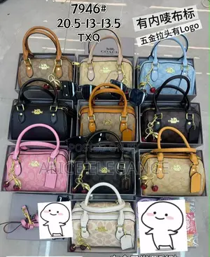 Fashion Coach Bag 