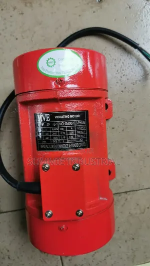 Vibrstor Motor