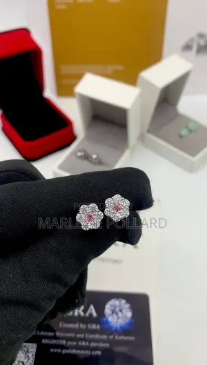 VVS Moissanite 2CT 12mm Earrings