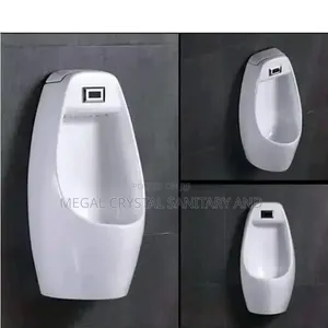 Urinary Bowls for All Toilet