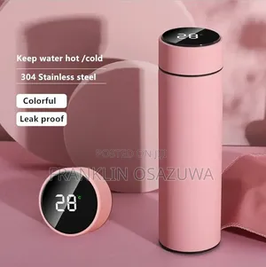 Smart LED Temperature Display Water Bottle