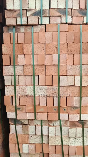 Ceramic Bricks