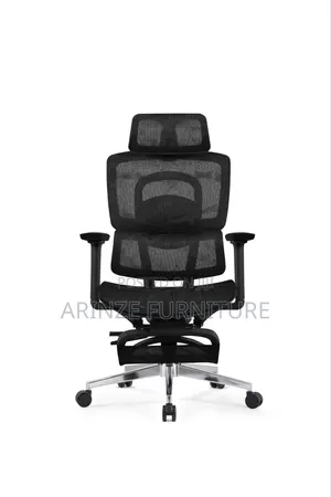 Executive Ergonomic Chair