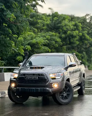 Toyota Tacoma 2006 Gray