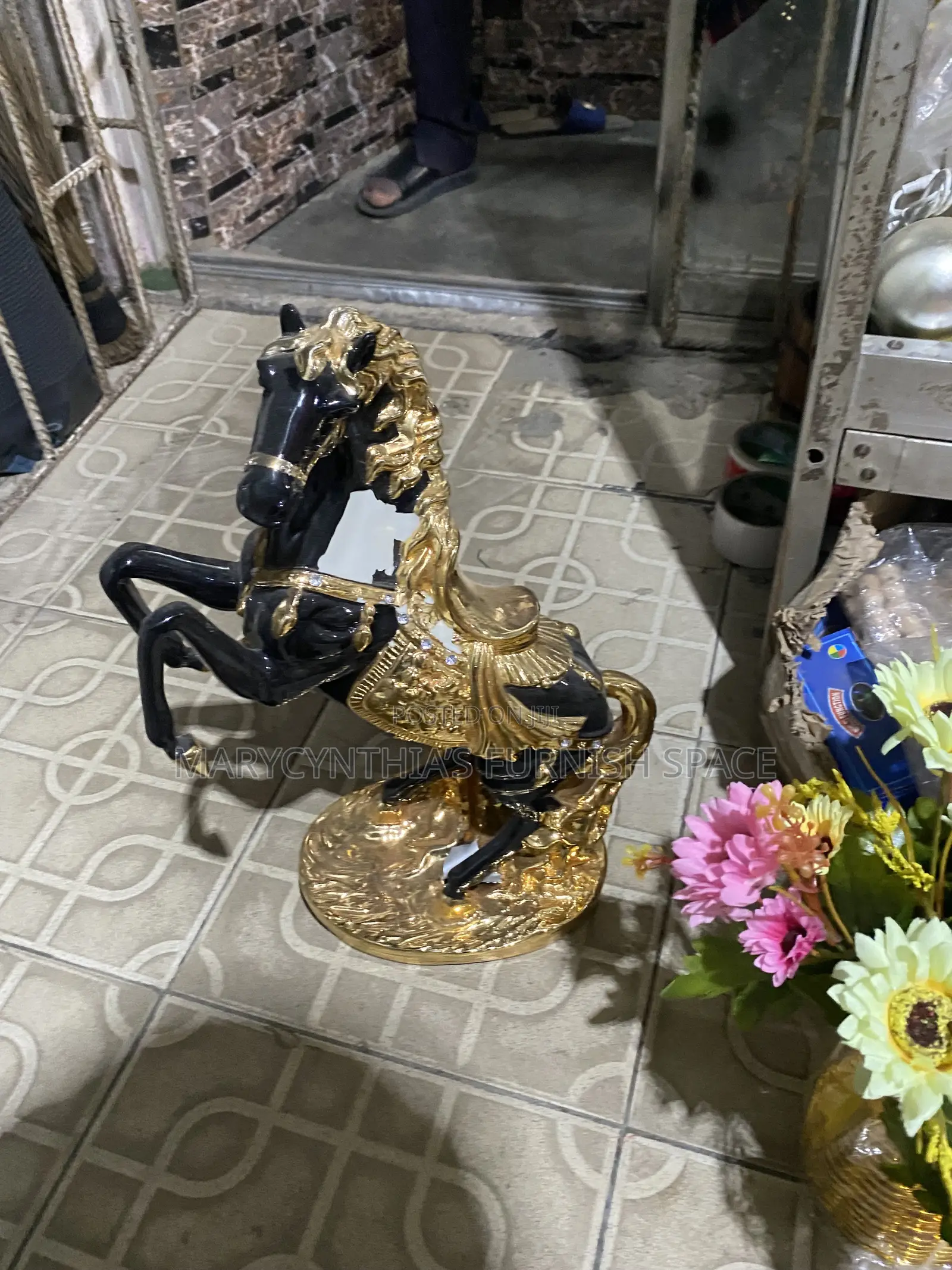 Lion Home Aesthetic Decor