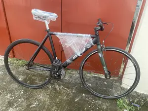 Vikin Sport Bicycle