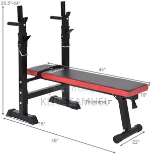 Portable Bench Press With 50kg Barbell