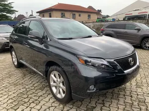 Lexus RX 2010 Gray