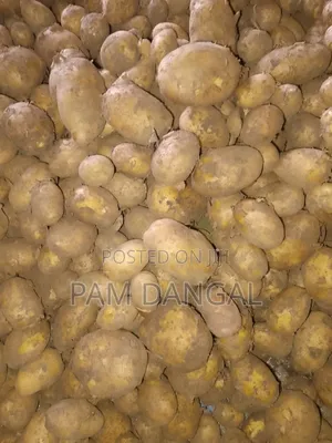 Irish Potato