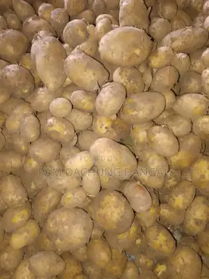 Irish Potato