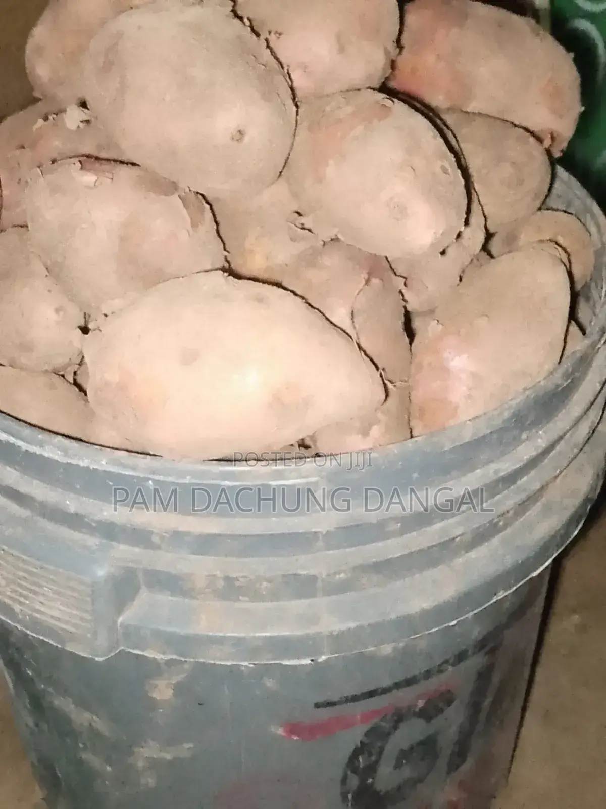 Irish Potato