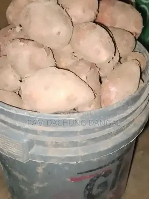 Irish Potato