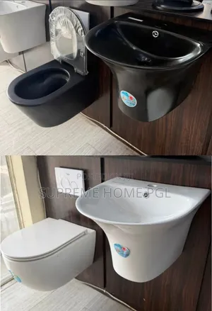 High Quality Wall Mounted Wc and Wash Hand Basin
