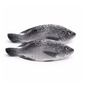 Fresh Tilapia