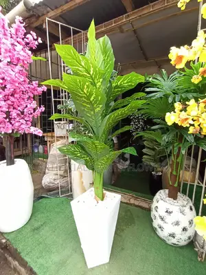 Plant and Small Diamond Fibre Pot Combo