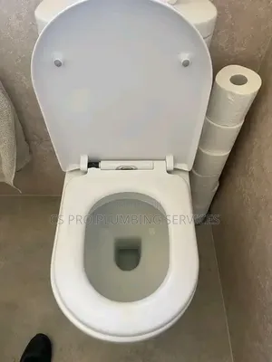 Professional Plumber in Enugu