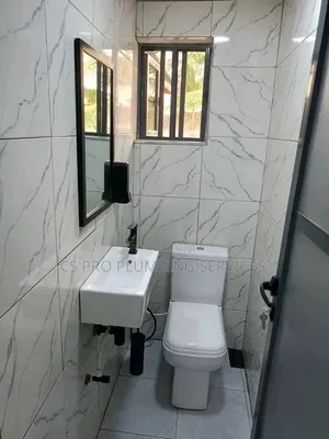 Professional Plumber 