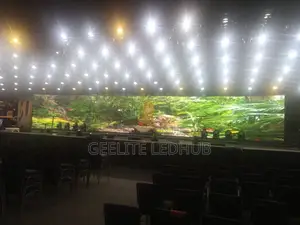 Video Screen