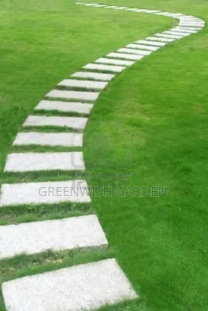 Paving Stones and Garden