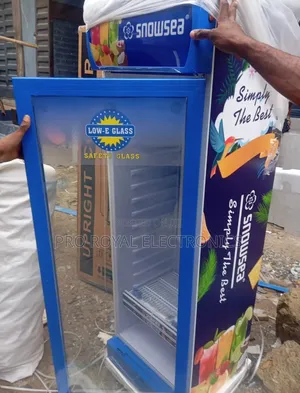 300 Liters Snowsea Fridge