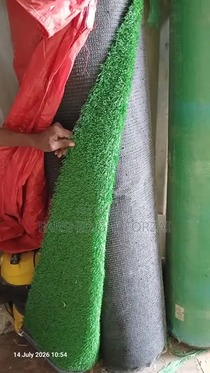 Carpet Grass