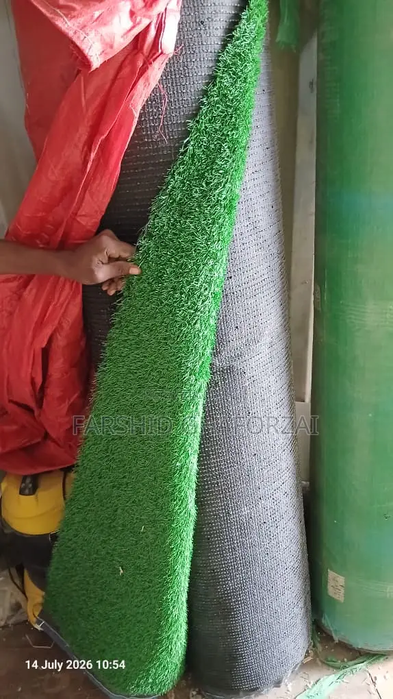 Carpet Grass