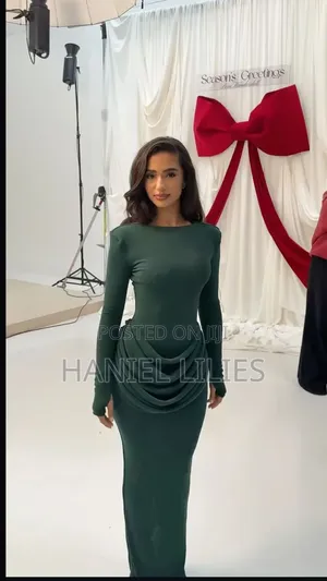 Mesh Dinner Gown
